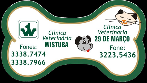cartao de visita